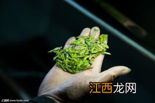 绿茶的味道怎么形容