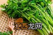 香菜和牛肉可以同吃吗 香菜不能与什么同食