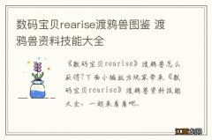 数码宝贝rearise渡鸦兽图鉴 渡鸦兽资料技能大全