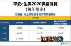 平安e生保2020犹豫期几天？