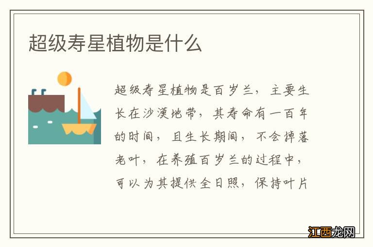 超级寿星植物是什么