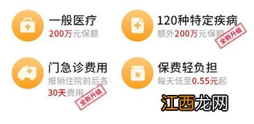 平安e生保2020可以单独上吗？