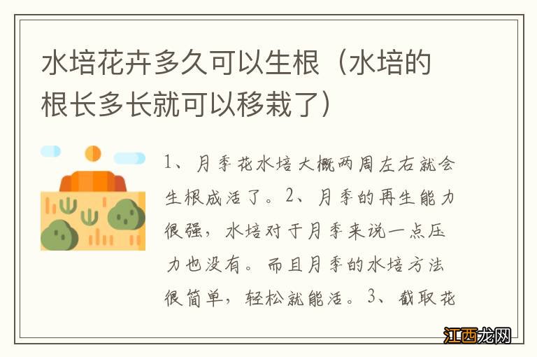 水培的根长多长就可以移栽了 水培花卉多久可以生根