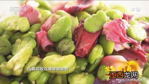 小山茶怎么吃