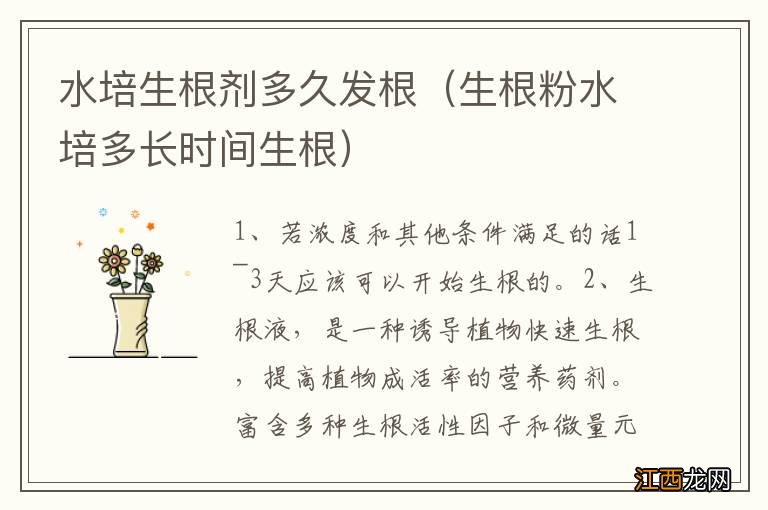 生根粉水培多长时间生根 水培生根剂多久发根