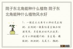 院子东北角能种什么植物 院子东北角能种什么植物风水好