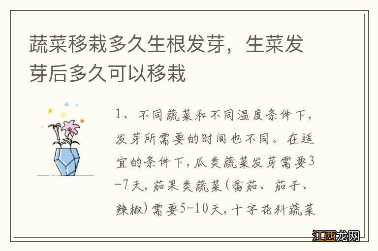 蔬菜移栽多久生根发芽，生菜发芽后多久可以移栽