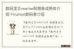 数码宝贝rearise刺猬兽成熟体介绍 Firumon数码兽介绍