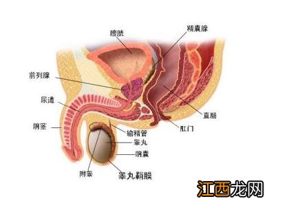 慢性前列腺炎能买重疾险吗？