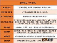 百年康欣保2020保什么？