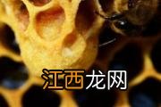 女人吃紫菜有什么好处 这6大好处你得知道