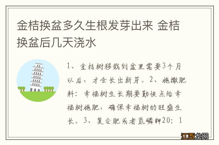 金桔换盆多久生根发芽出来 金桔换盆后几天浇水