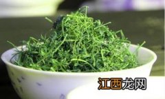 绞股蓝怎么做茶