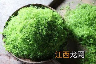 绞股蓝怎么做茶