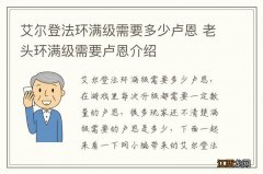 艾尔登法环满级需要多少卢恩 老头环满级需要卢恩介绍