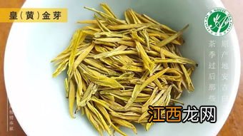 红茶金芽怎么做才黄