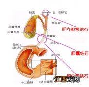 胆囊息肉可以投保重疾险吗？