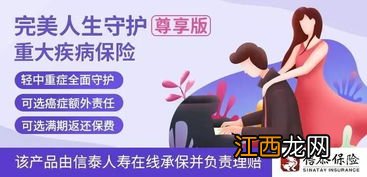 完美人生守护是哪个保险公司的？