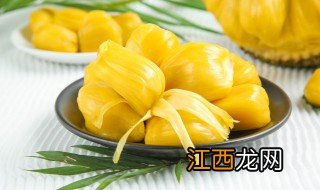 水培菠萝多久生根 菠萝水培生根后怎么移栽