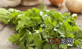 香菜水培多久生根，香菜水培法几天生根