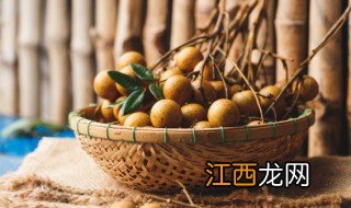 桂圆种多久可结果子? 桂圆怎么种才能结果