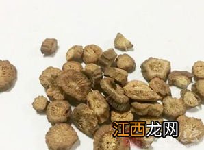 牛蒡怎么搭配喝茶