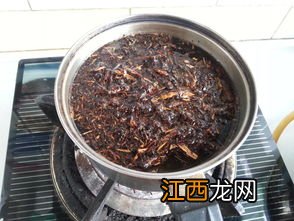 煮砖茶 砖茶怎么煮