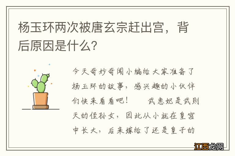 杨玉环两次被唐玄宗赶出宫，背后原因是什么？