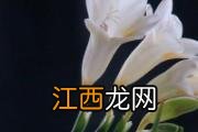 释迦果隔夜能吃吗 释迦果隔夜怎么保存