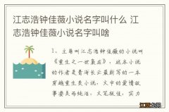 江志浩钟佳薇小说名字叫什么 江志浩钟佳薇小说名字叫啥