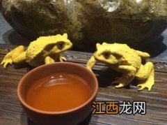 茶宠里面的茶水怎么办