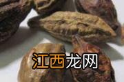 水茴香的功效与作用