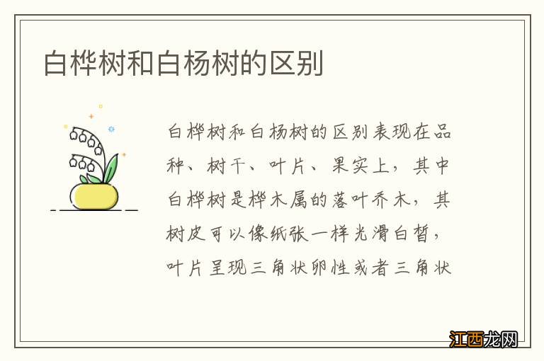 白桦树和白杨树的区别