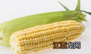 种玉米的条件 种有机玉米需要什么条件