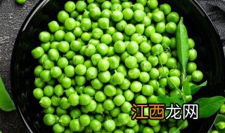 种豌豆的步骤 种豌豆需要什么条件