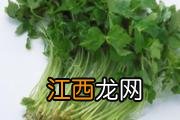 荆条蜜的功效与作用