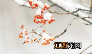 而我藏叶底一度踏岁月一路是什么歌 歌曲晚来天欲雪歌词欣赏