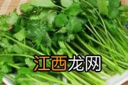 新鲜玉米可以放冷冻吗 没煮熟的玉米能吃吗