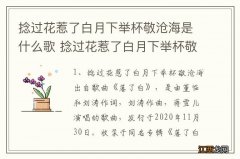 捻过花惹了白月下举杯敬沧海是什么歌 捻过花惹了白月下举杯敬沧海歌曲介绍