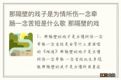 那隔壁的戏子是为情所伤一念牵肠一念苦短是什么歌 那隔壁的戏子是为情所伤歌词