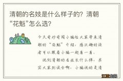 清朝的名妓是什么样子的？清朝“花魁”怎么选？