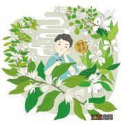 花茶英语怎么读说