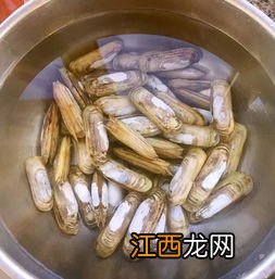 盐水煮蛏子煮多久