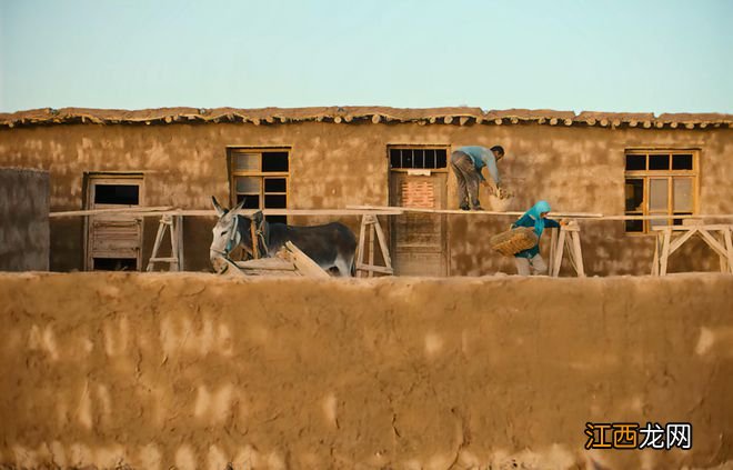 片中演员90%是导演亲戚,一波“虎”操作后,竟拍出了国产片良心