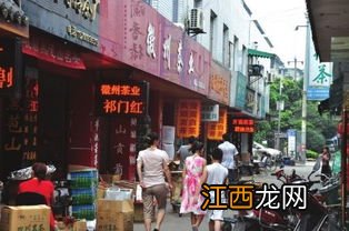 茶叶批发市场怎么样