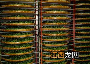 茶叶被水泡了怎么烘干