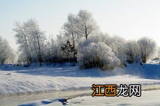 2022年青岛11月份有雪吗-青岛一般几月份开始下雪