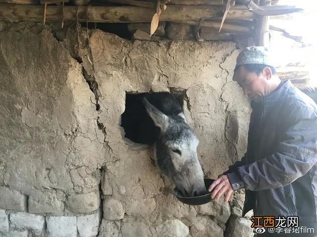 《隐入尘烟》，李睿珺对故乡鸣唱的一曲挽歌