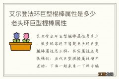 艾尔登法环巨型棍棒属性是多少 老头环巨型棍棒属性