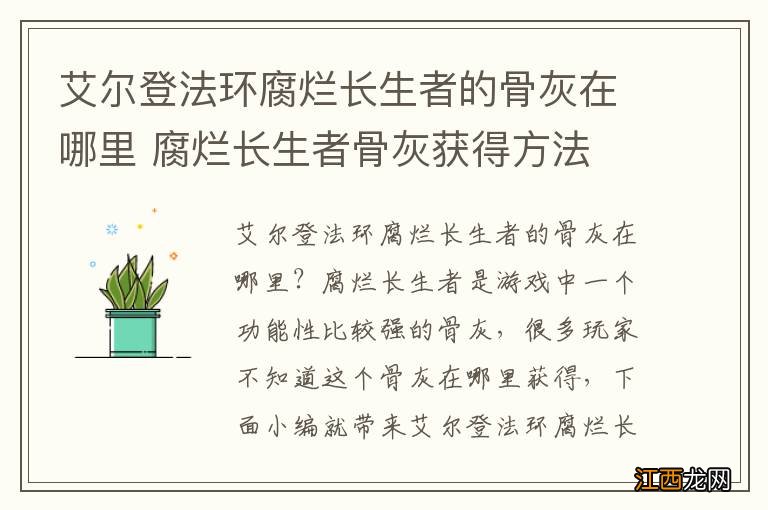 艾尔登法环腐烂长生者的骨灰在哪里 腐烂长生者骨灰获得方法